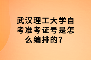 武汉理工大学自考准考证号是怎么编排的？