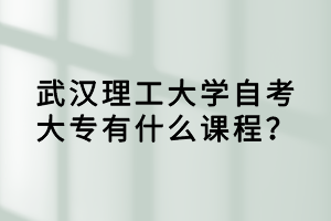 武汉理工大学自考大专有什么课程?