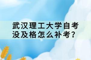 武汉理工大学自考没及格怎么补考?
